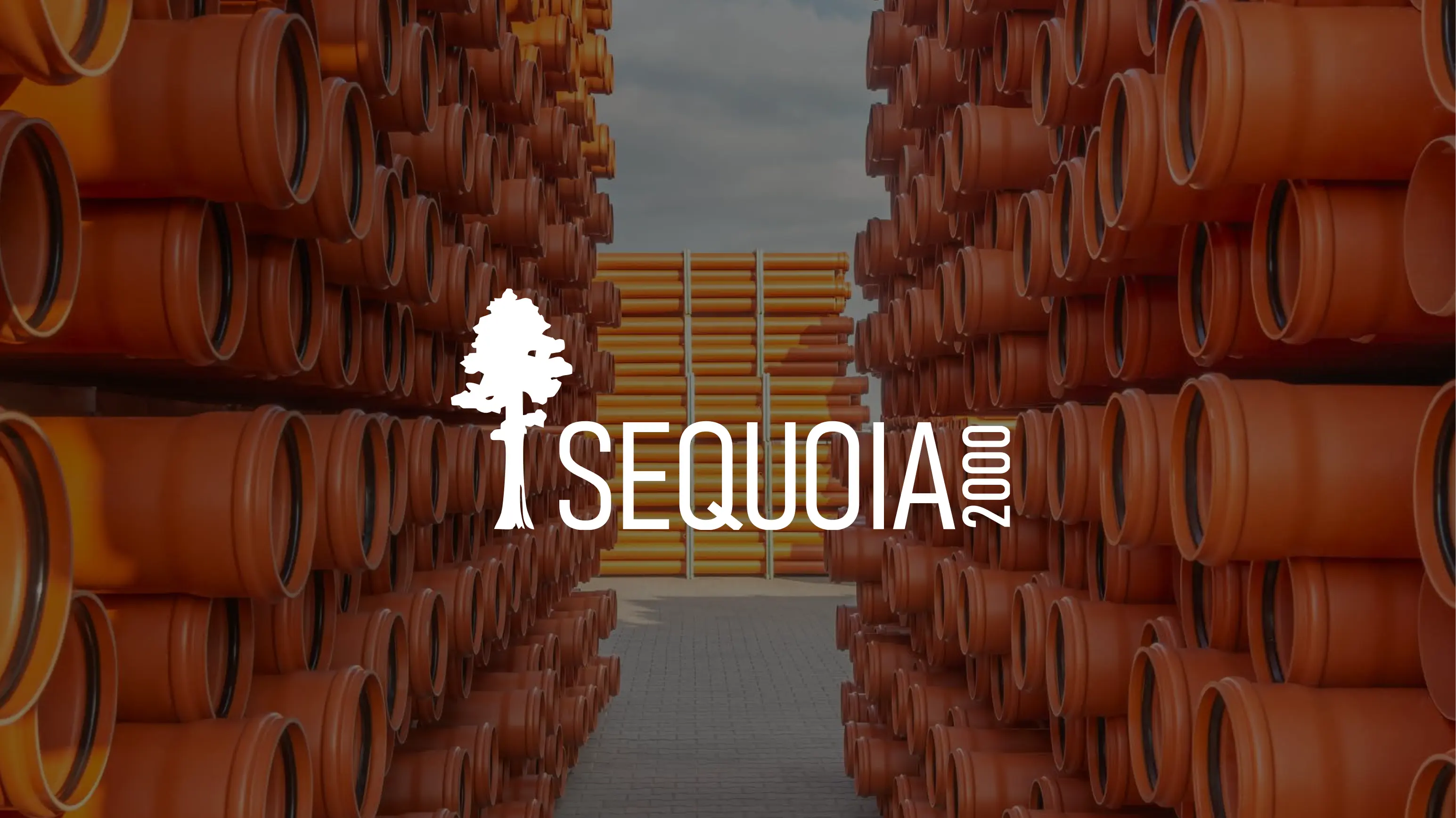 Sequoia2000 — кейс pills.agency